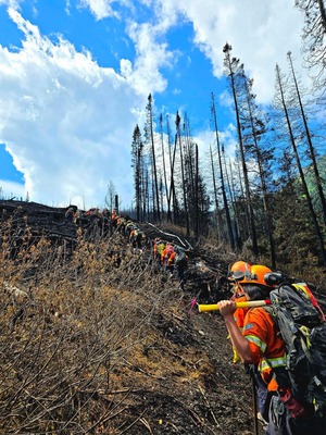 Forest Firefighters